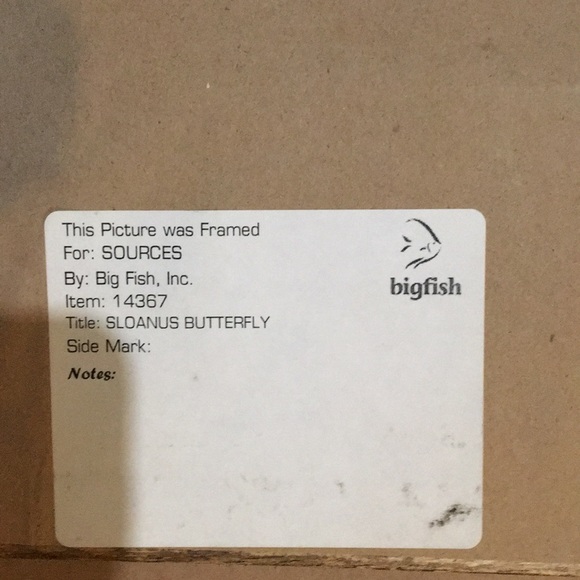 Picture - Picture 4 of 4